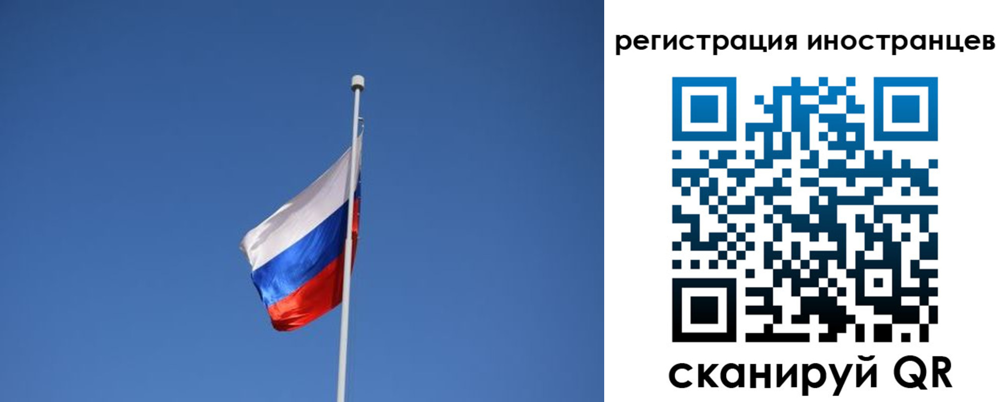 где прописаться в Коле