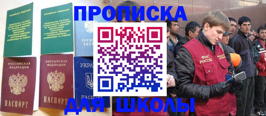 прописка 2025 в Коле